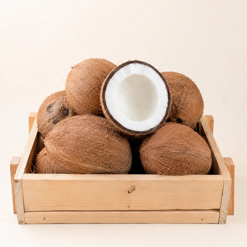 coconut product from Arka Impex