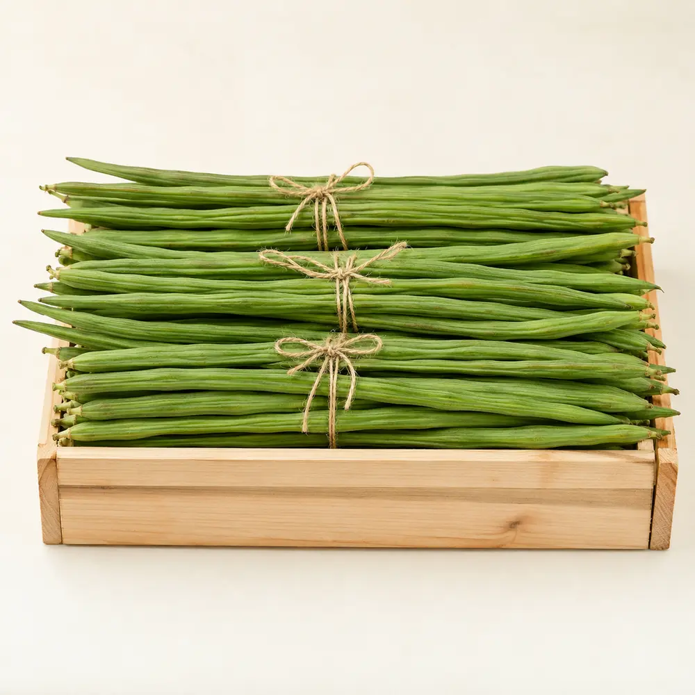 drumstick product from Arka Impex