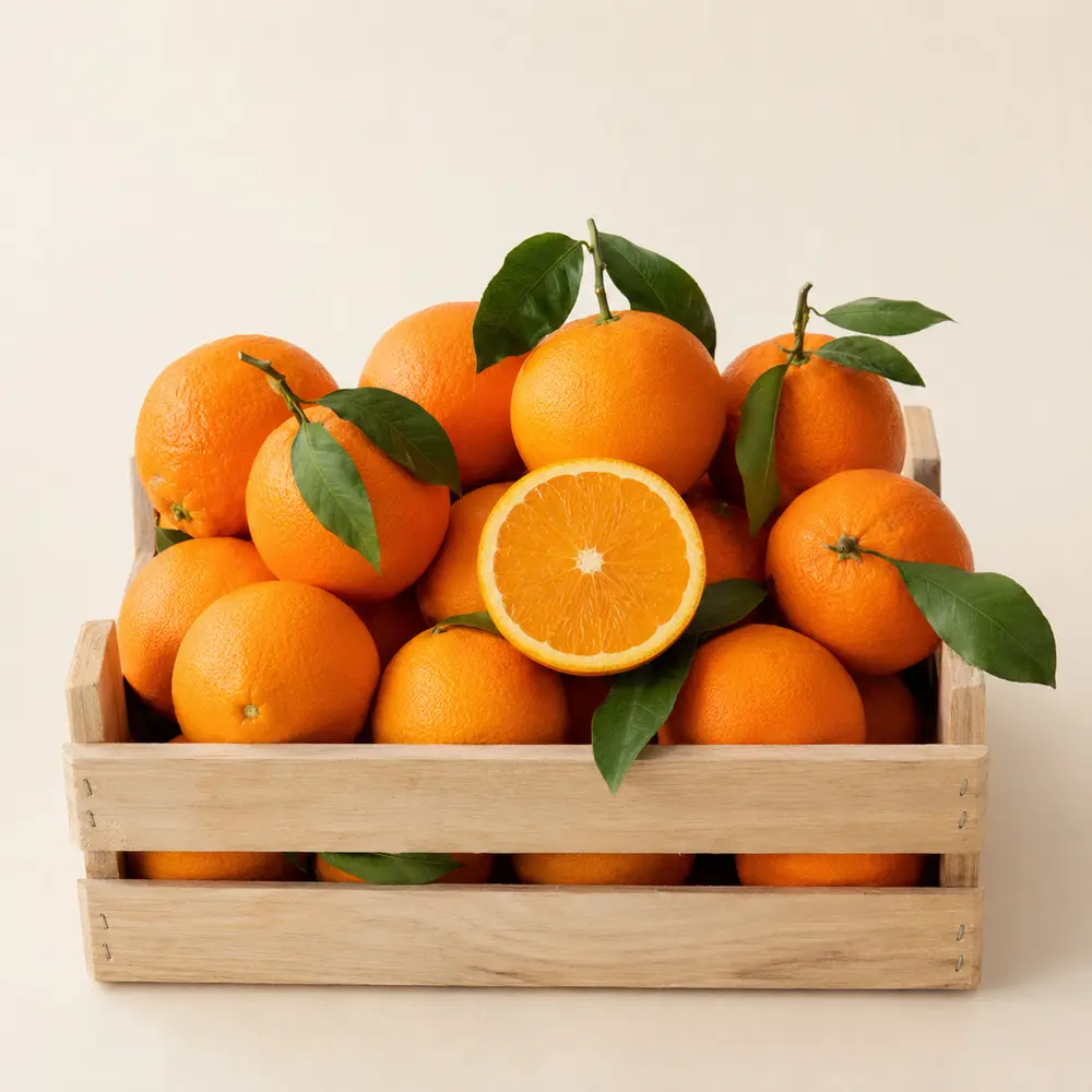 fresh-orange product from Arka Impex