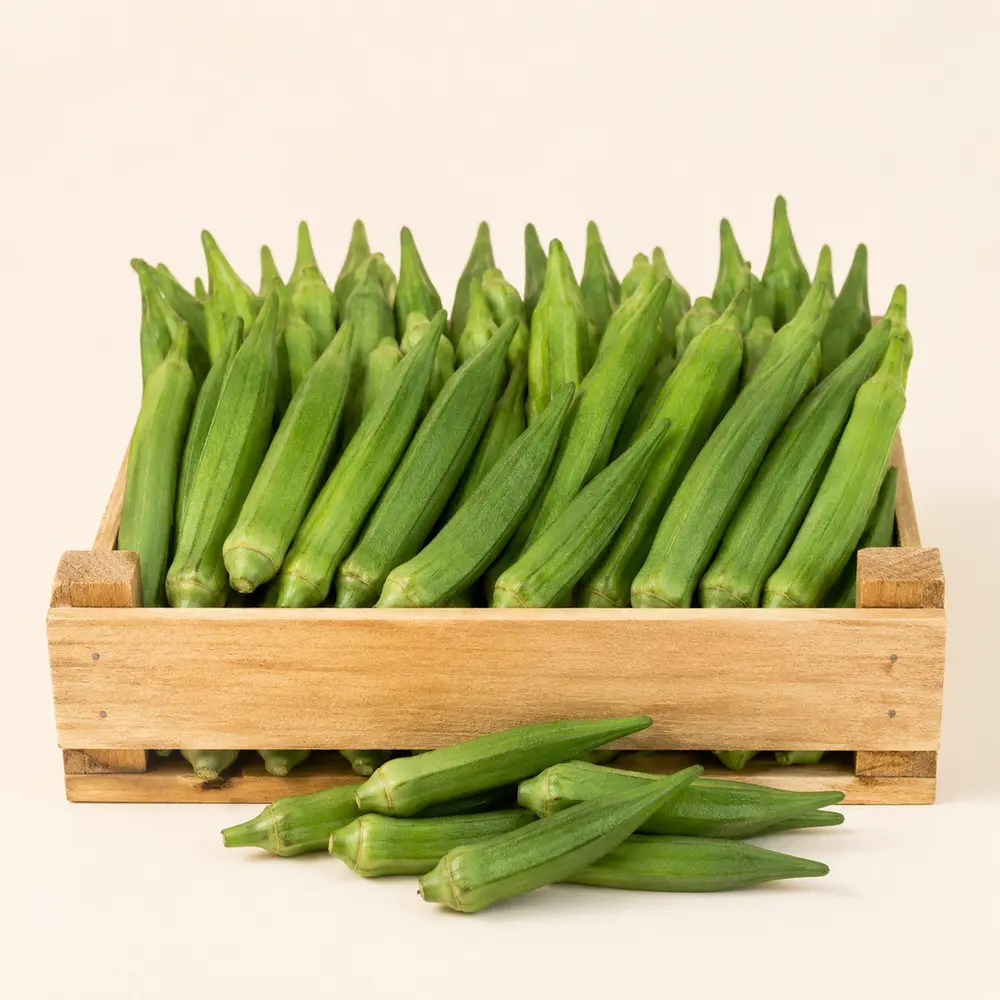 Fresh green okra exporter from India - Arka Impex